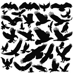 Extensive Bird Silhouettes Collection - Featuring Various Species in Flight for Illustrations, Logos, and Nature Projects