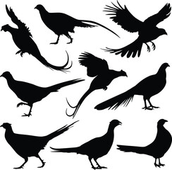 Animal Silhouettes Collection - Featuring Hippo, Giraffe, Elephant, Bear, Lion, and More for Illustrations, Logos, and Nature Projects