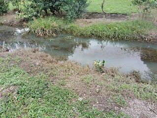 Small canal or stream  in a rural area. photo taken in malaysia
