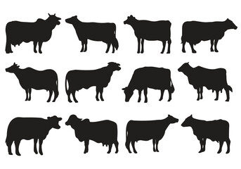Comprehensive Cow Silhouettes Collection - Featuring Various Poses for Illustrations, Logos, and Agricultural Themes