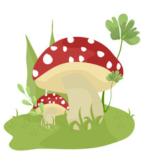 Mushrooms Illustration