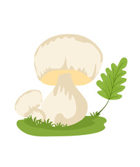Mushrooms Illustration
