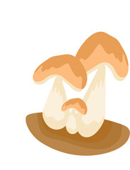 Mushrooms Illustration