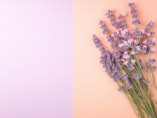 Lavender Blooms on Pastel: Delicate sprigs of lavender are artfully arranged against a backdrop of soft pastel hues, exuding an aura of serenity, tranquility, and natural beauty. 