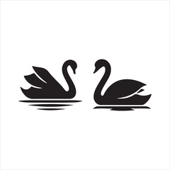 swans on the lake
