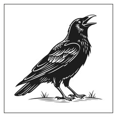 Crow bird Silhouette Vector