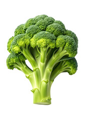 Close-up of vibrant green broccoli with detailed texture on white background

