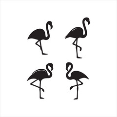 flamingo bird silhouette vector illustration