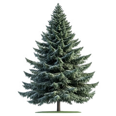 Fototapeta premium A winter-dressed fir tree, likely a digitally created image.