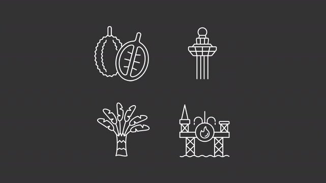 Singapore culture animation library. Asian country traditions discovery animated white line icons. Exotic landmarks. Isolated illustrations on dark background. Transition alpha. HD video. Icon pack