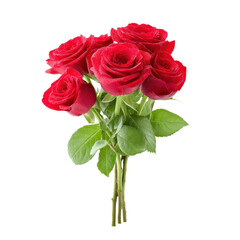 Fototapeta premium Bouquet of red roses with water droplets on a white background. Perfect for Valentine's Day, anniversaries, or romantic occasions.