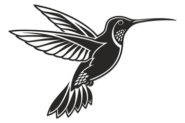 hummingbird vector illustration