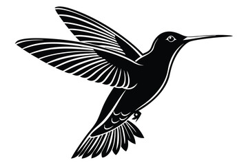 hummingbird in flight vector