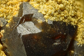Garnet (andradite, hessanite) crystals. Sinyaya Rechka deposit, Far East, Russia. High magnification microphotograph- photo scale 10X.