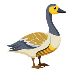 Goose isolated on white background