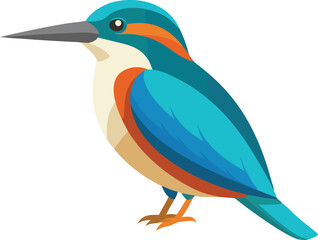 Obraz premium Beautiful bird kingfisher vector illustration