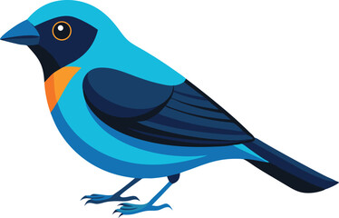 Obraz premium Beautiful bird paradise tanager vector illustration