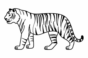tiger line art  silhouette
