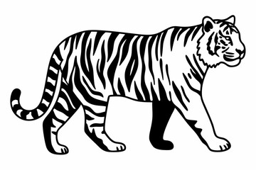 tiger line art  silhouette