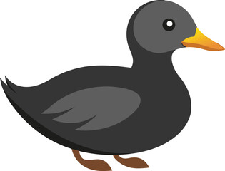 Obraz premium Flat color Beautiful velvet scoter vector illustration 