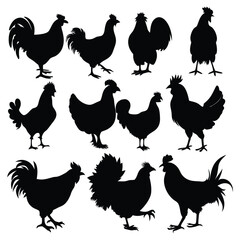 Chicken and Rooster Silhouette Vector Set.