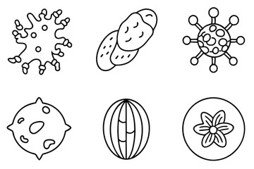 cell structure line art detailed cell anatomy design