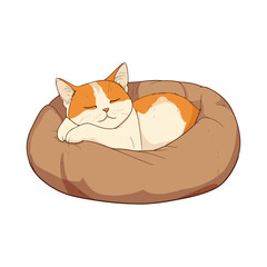 Fototapeta premium cat, cat bed, animal, vector, transparent background