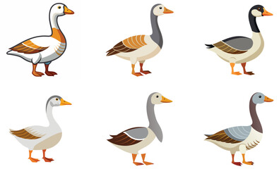 set of goose on white background
