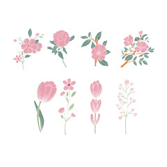 Set of rose wild flowers, wedding cards, banner, fabric. Vector isolated illustration