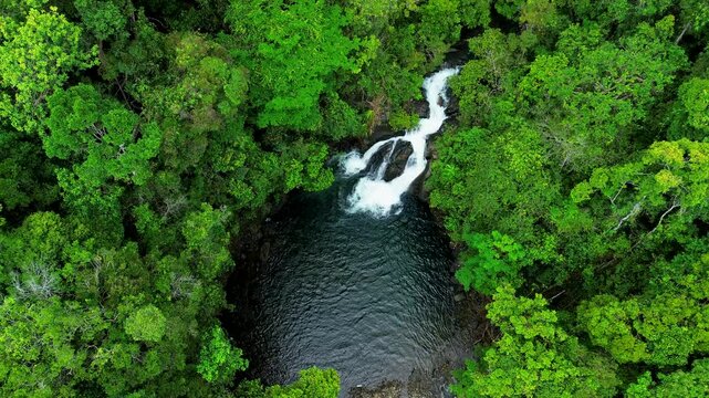 Top down view of Estrella Waterfall in Narra Palawan with white cascades dark pool and bright green rainforest canopy around the river