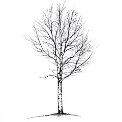 Fototapeta premium An illustrated tree stands alone with a stark and bare appearance