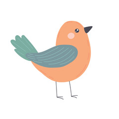 Cute standing bird in orange and teal with smooth feathers and tiny beak, perfect for pastel decor, wild cartoon assets, and simple illustrated companions.