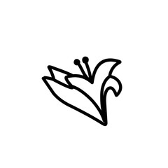 lily flower outline