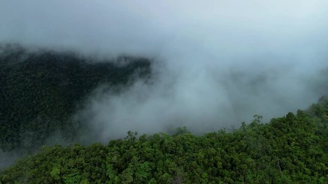 Low clouds covering rainforest mountains near Estrella Waterfall in Narra Palawan with mist over dense green canopy and hidden valley