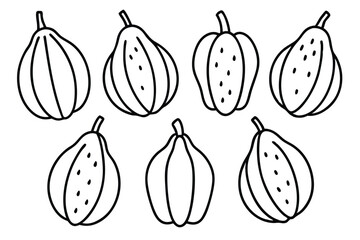 chayote line art artistic drawing of plant food