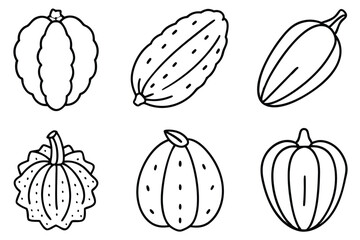 chayote line art modern depiction of healthy food