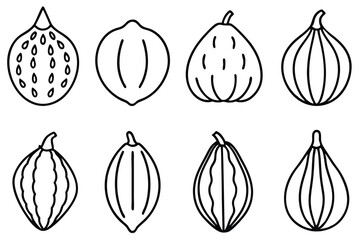 chayote line art simple yet elegant food illustration