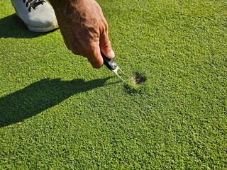 Male hand in glove marking ball position on the green. Focus on pitchmark concept