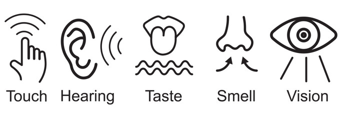 Human sense icons. Five human senses icons. Vision smell hearing touch taste senses fillings. Five fillings icons. Vector Illustration. Vector Graphic.