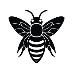 Fototapeta premium bee head antenna vector art silhouette