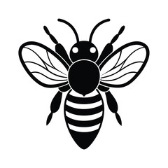 Fototapeta premium bee head antenna vector art silhouette