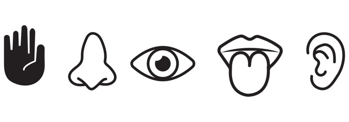 Obraz premium Human sense icons. Five human senses icons. Vision smell hearing touch taste senses fillings. Five fillings icons. Vector Illustration. Vector Graphic.