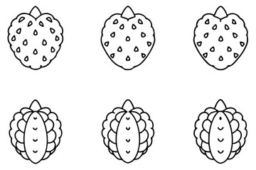cherimoya line art featuring smooth curves and shapes