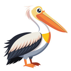 Pelican isolated on white background