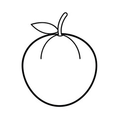 pitanga fruit line art vector illustration