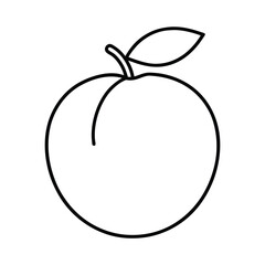 peach palm fruit line art vector illustration