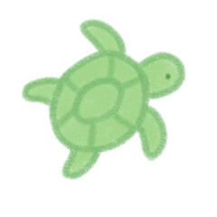 Crayon drawing of turtle 