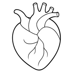 Anatomical Heart Outline Coloring Book Page Line Art