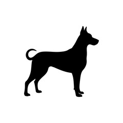 Silhouette of a sleek black dog standing with pointed ears and a curled tail on white background