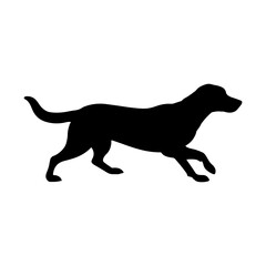 Silhouette of a dog running with its tail up and legs in motion on a white background view
